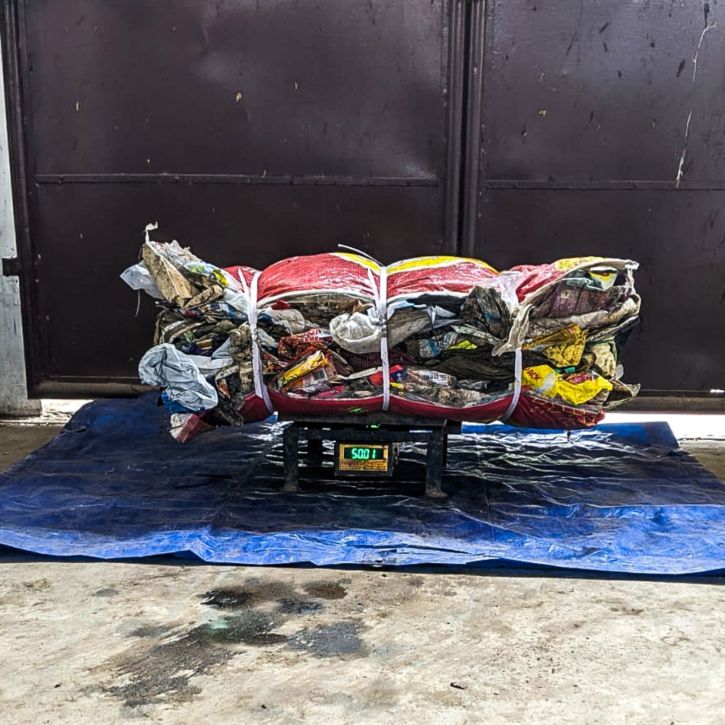 Fisch Plastic