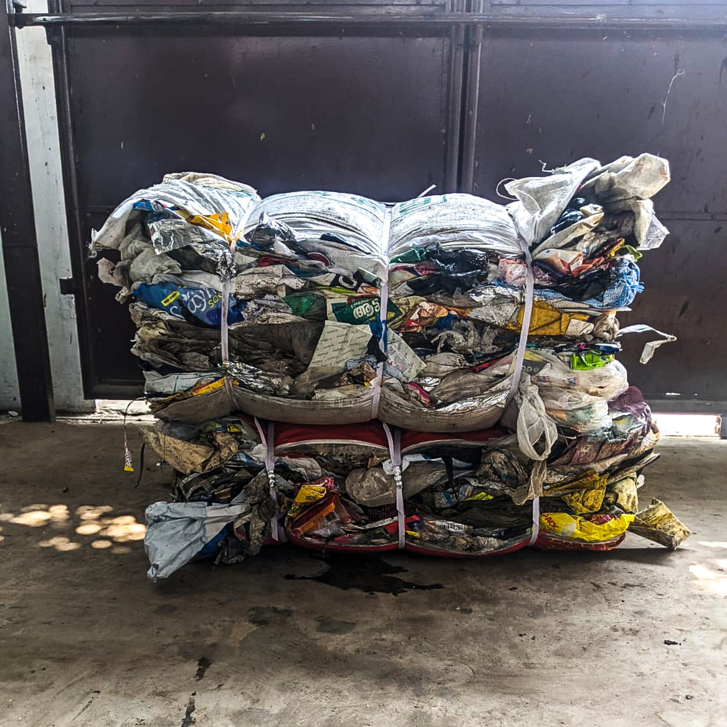 Fisch Plastic